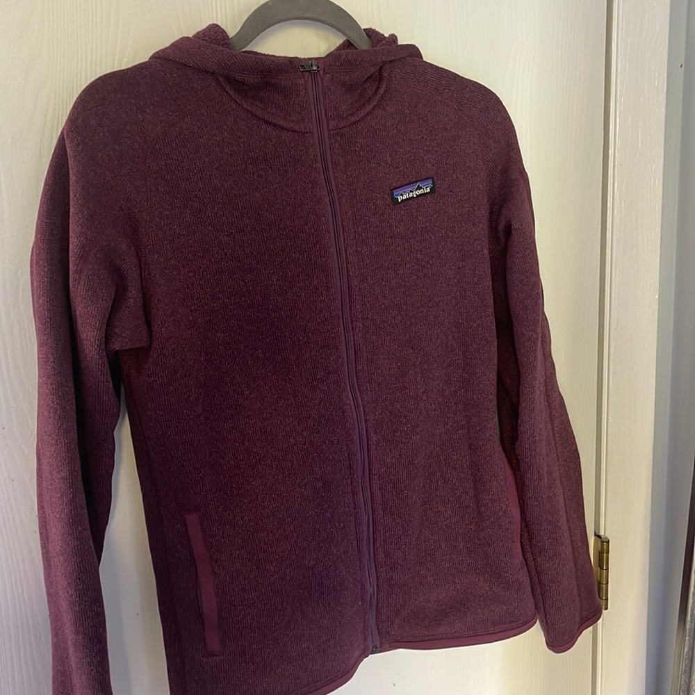 Patagonia Women's Better Sweater Fleece Hoody